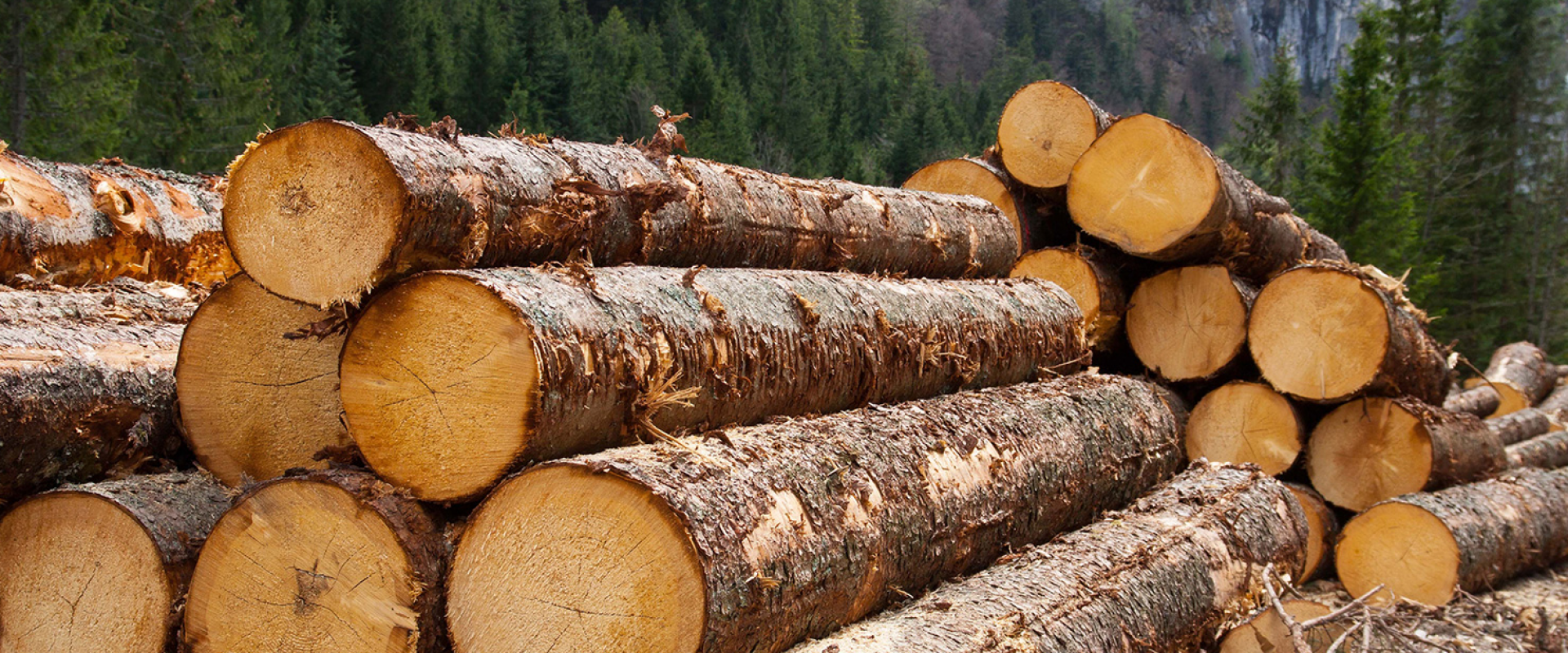 Ваш надёжный партнер. Работаем с 1998 года